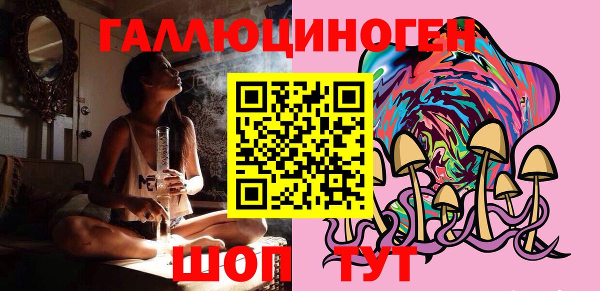 Галлюциногенные грибы Psilocybine cubensis  Вход с VPN  Губаха 